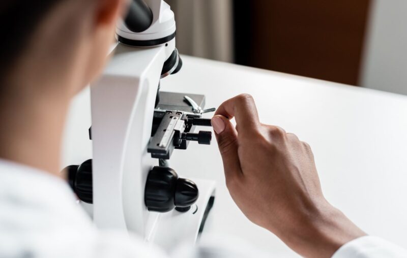 Scientist working with a microscope, highlighting advanced downstream processing techniques for high-quality bacteriophage production at Qeen Biotechnologies.