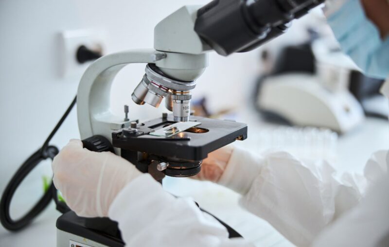 Scientist's hand working with a microscope, illustrating expert cell banking solutions for reliable bacteriophage production.