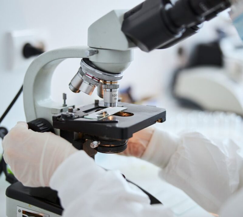 Scientist's hand working with a microscope, illustrating expert cell banking solutions for reliable bacteriophage production.