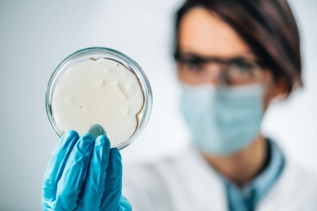 Scientist holding a petri dish containing Aeromonas bacteria, focusing on innovative solutions for aquaculture pathogen management.