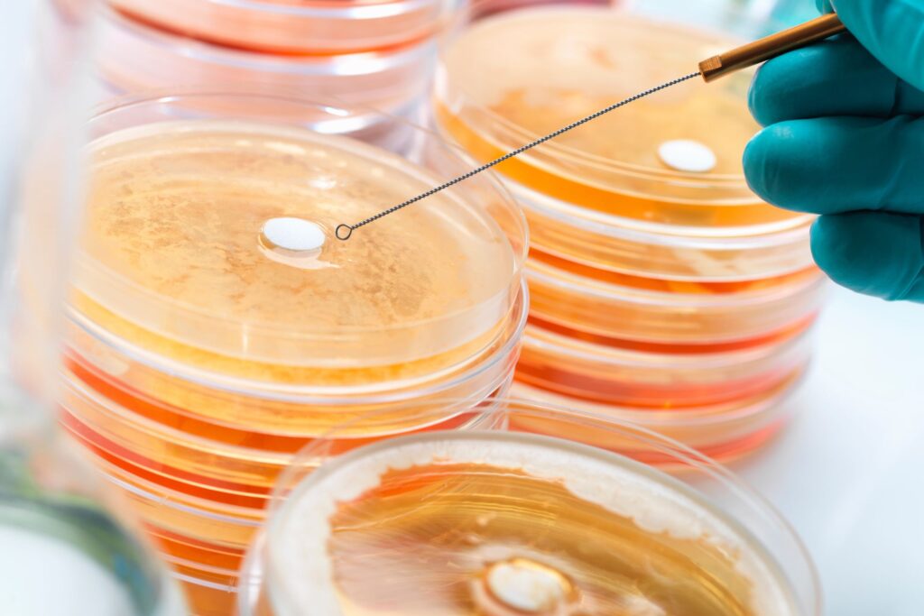 Petri dishes showing cultures of drug-resistant Staphylococcus bacteria, highlighting MRSA and antibiotic resistance.