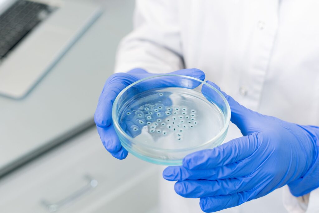 Scientist's hand holding a petri dish containing Pseudomonas bacteria, emphasizing research on pathogen management.