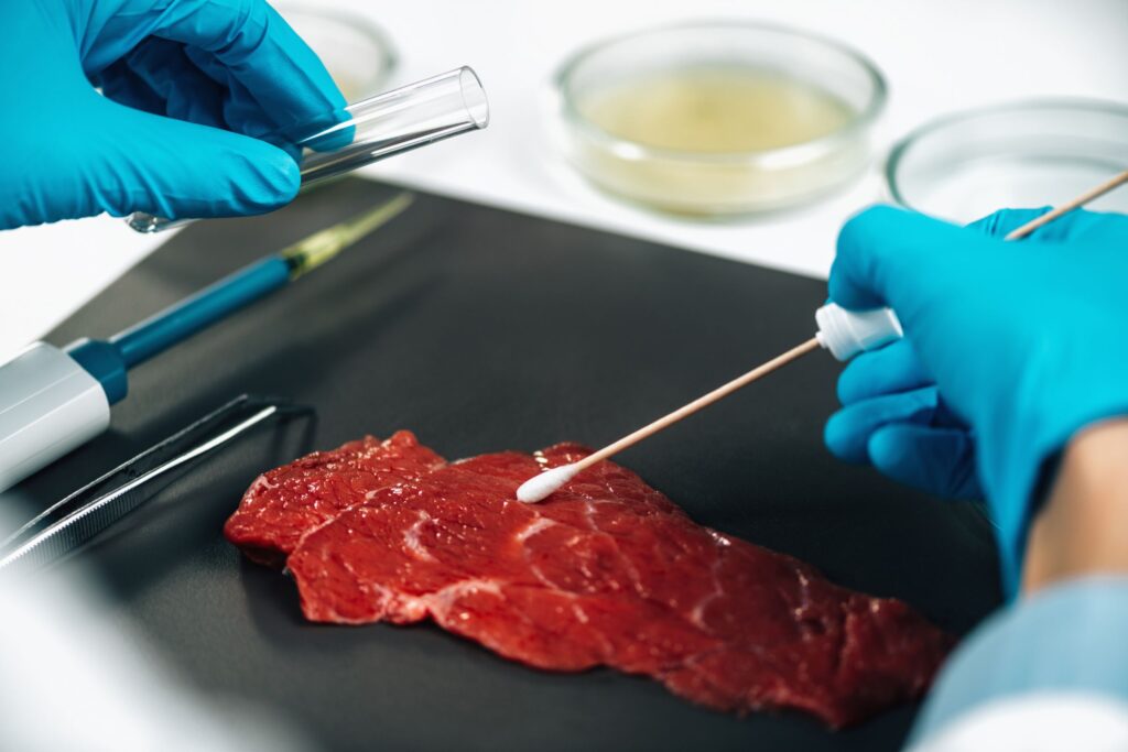 Scientist's hand analyzing a small meat sample, emphasizing detection and control of Salmonella contamination.