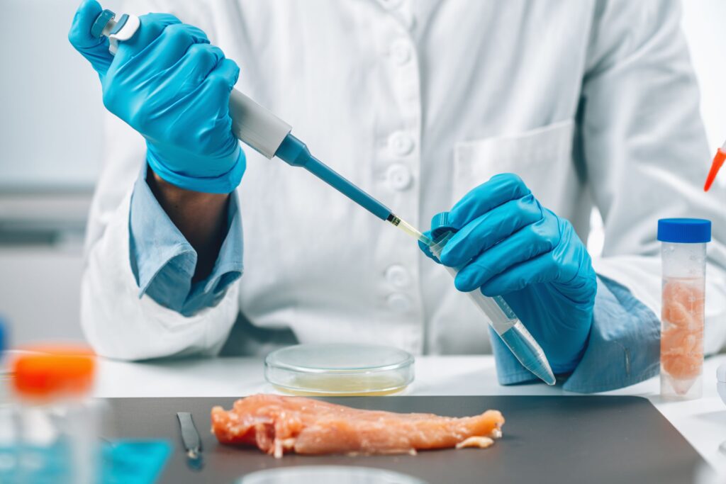 Scientist analyzing a small chicken sample in the lab, focusing on E. coli decontamination solutions for poultry processing.