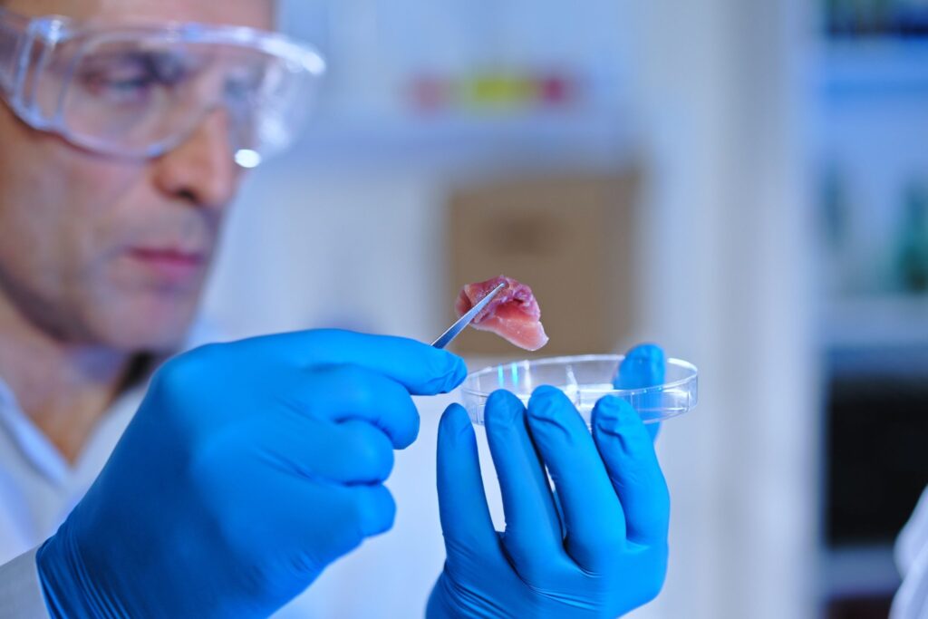 Scientist analyzing a small beef sample in the lab, ensuring food safety through E. coli detection and control measures.