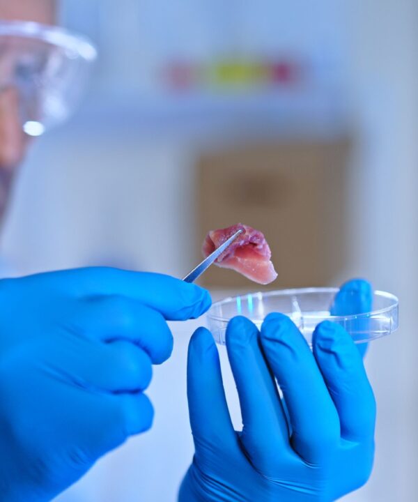 Scientist analyzing a small beef sample in the lab, ensuring food safety through E. coli detection and control measures.