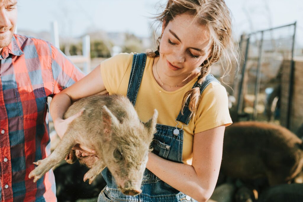 Sick piglet displaying symptoms of Escherichia coli infection, emphasizing the impact on livestock health and farm productivity.