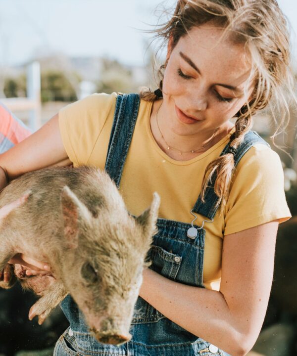 Sick piglet displaying symptoms of Escherichia coli infection, emphasizing the impact on livestock health and farm productivity.