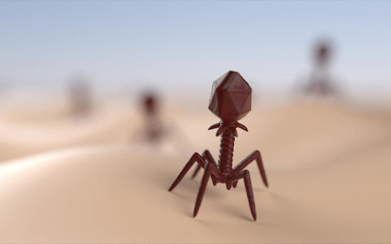 Phage-therapy.jpg