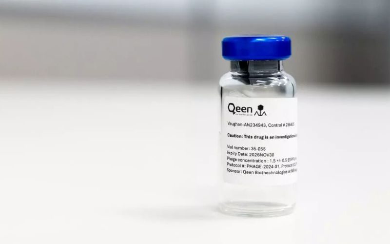 Phage-therapy-QeenBio.jpg
