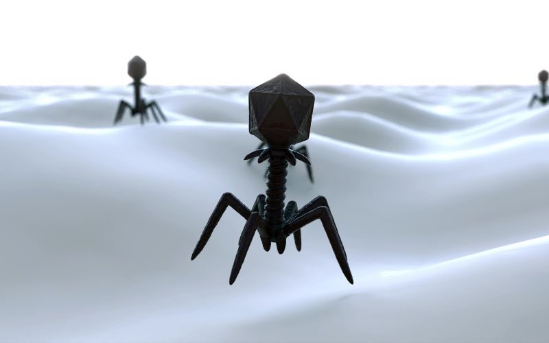 Phage-therapy-solution-Qeenbiotechnologies.jpg