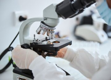 Scientist's hand working with a microscope, illustrating expert cell banking solutions for reliable bacteriophage production.