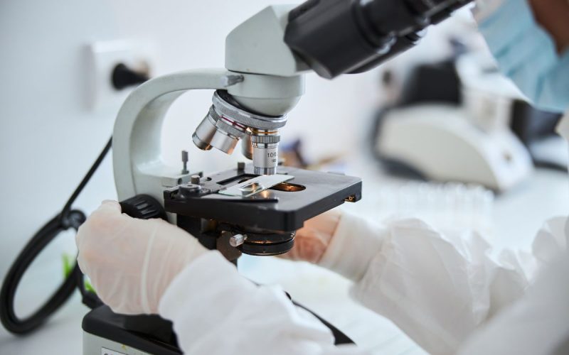 micro-cell.jpg