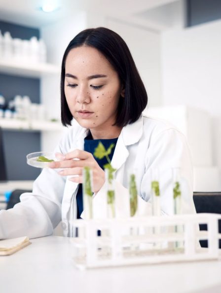 Scientist working in a lab, focusing on agricultural bacteria research, highlighting efforts to combat plant pathogens